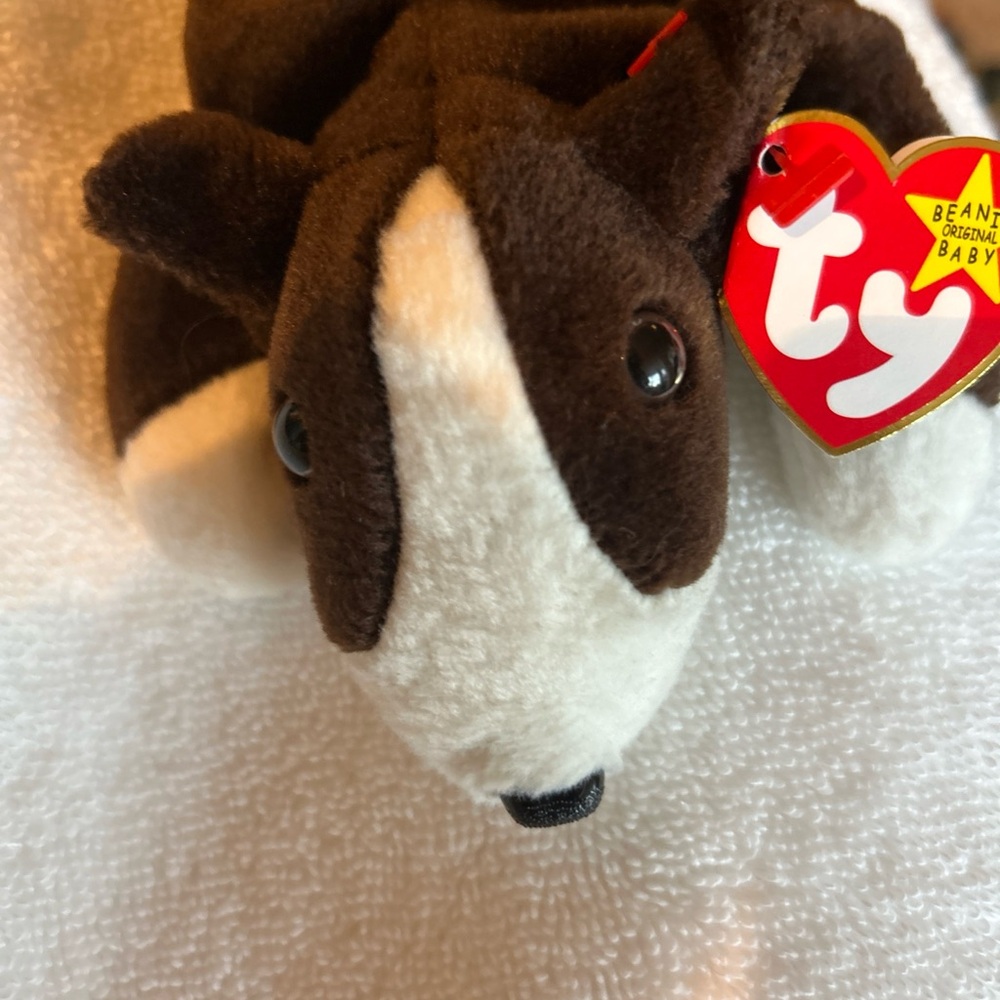 Ty Beanie Baby Bruno